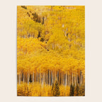 Colorado Gold Rush Poster Gallery Image 4
