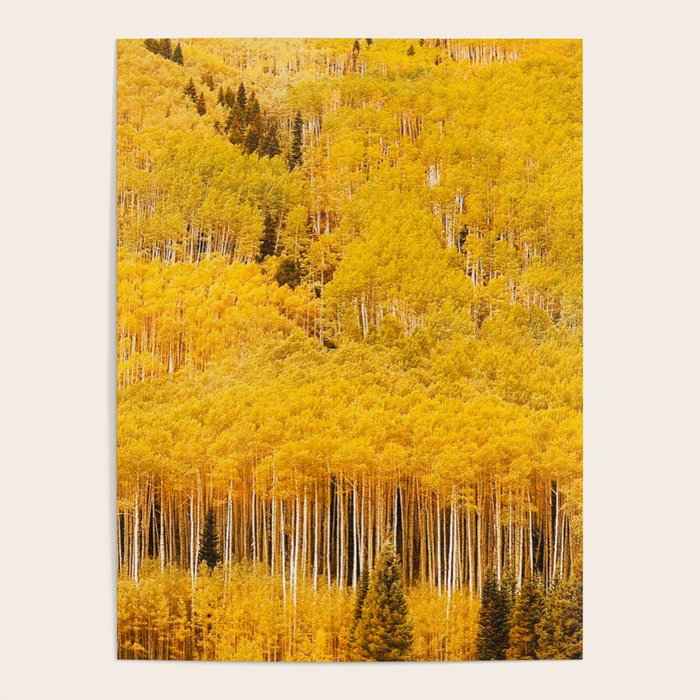 Colorado Gold Rush Poster Gallery Image 4