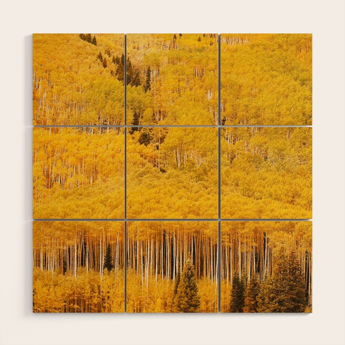 Colorado Gold Rush Wood Wall Art
