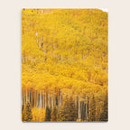 Colorado Gold Rush Notebook Gallery Image 4