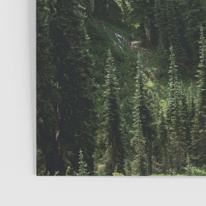 Mount Rainier Adventure - Pacific Northwest Mountain Forest Wanderlust Poster Gallery Image 3