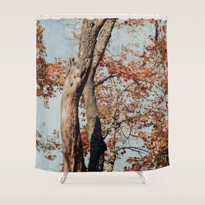 Russet - autumn tree photograph fall colors travel cottagecore Shower Curtain Gallery Image 1