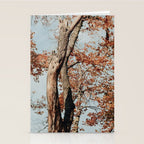 Russet - autumn tree photograph fall colors travel cottagecore Stationery Card Gallery Image 2