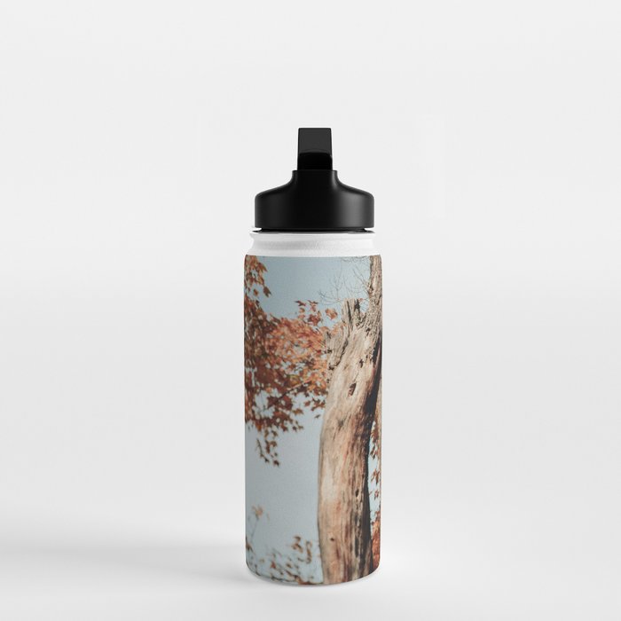 Russet - autumn tree photograph fall colors travel cottagecore Water Bottle Gallery Image 3