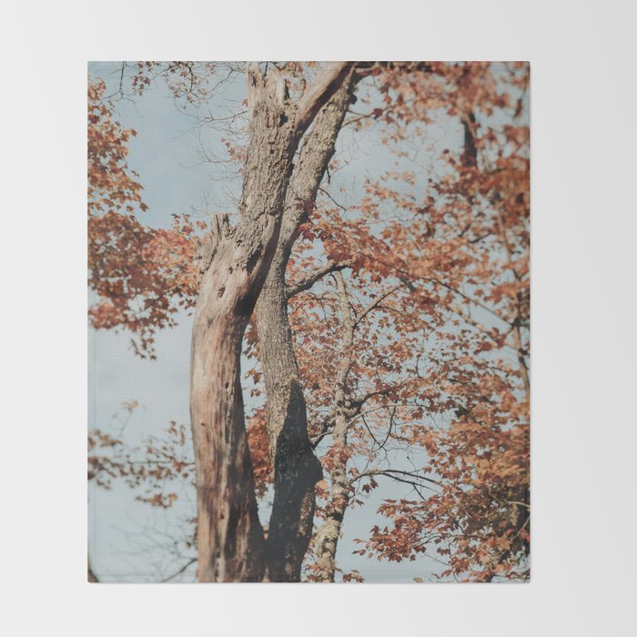 Russet - autumn tree photograph fall colors travel cottagecore Throw Blanket Gallery Image 2