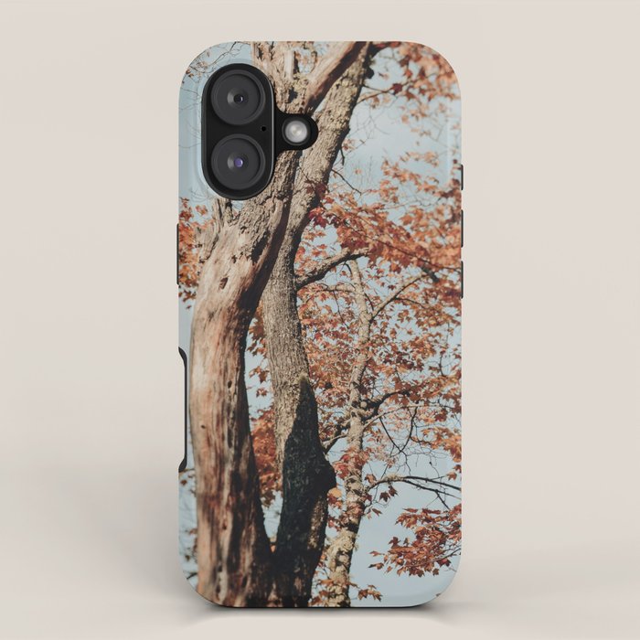 Russet - autumn tree photograph fall colors travel cottagecore iPhone Case Gallery Image 1