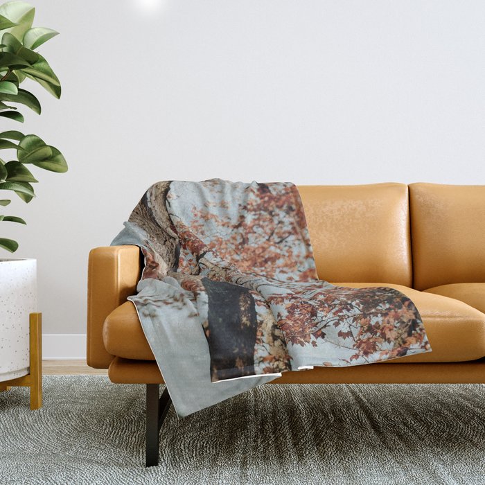Russet - autumn tree photograph fall colors travel cottagecore Throw Blanket Gallery Image 1