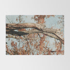 Russet - autumn tree photograph fall colors travel cottagecore Rug Gallery Image 2