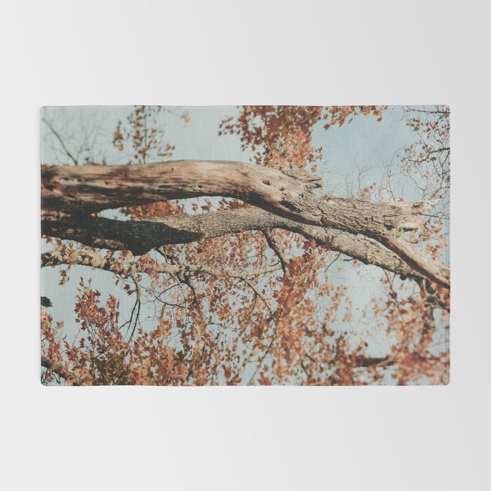 Russet - autumn tree photograph fall colors travel cottagecore Rug Gallery Image 2
