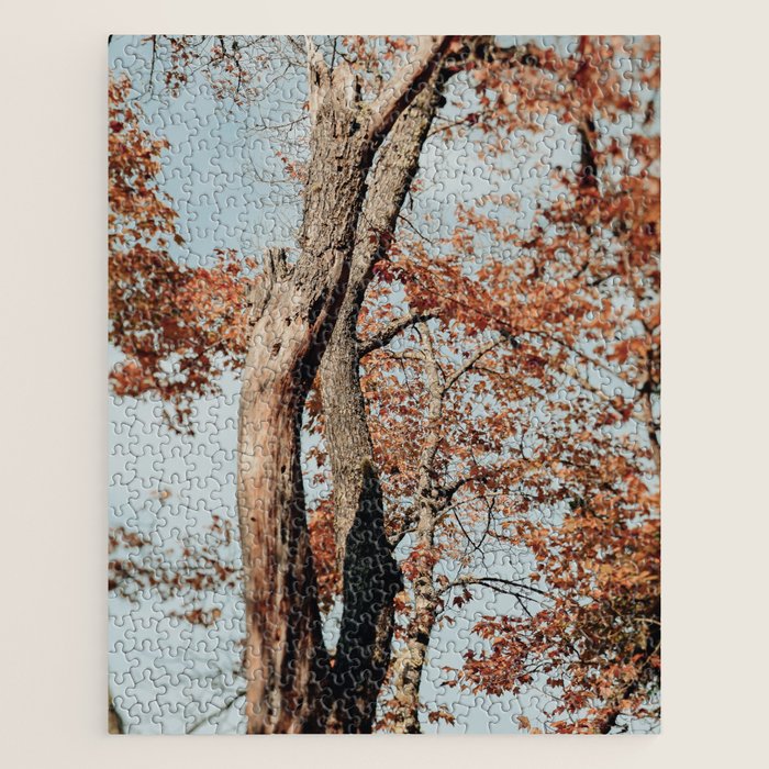 Russet - autumn tree photograph fall colors travel cottagecore Jigsaw Puzzle Gallery Image 1