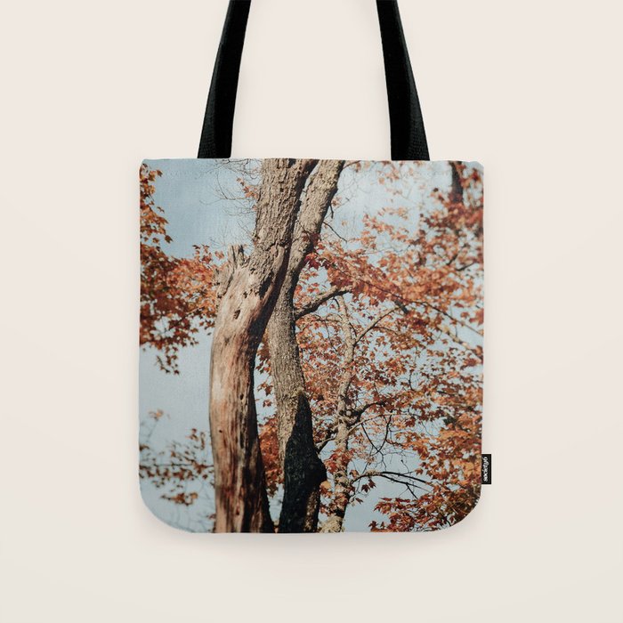 Russet - autumn tree photograph fall colors travel cottagecore Tote Bag Gallery Image 1