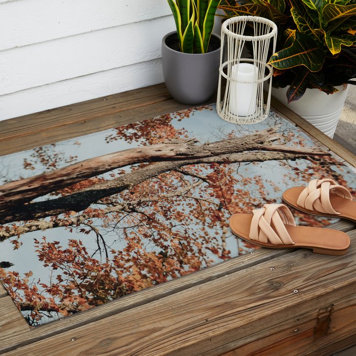Russet - autumn tree photograph fall colors travel cottagecore Outdoor Rug Gallery Image 2