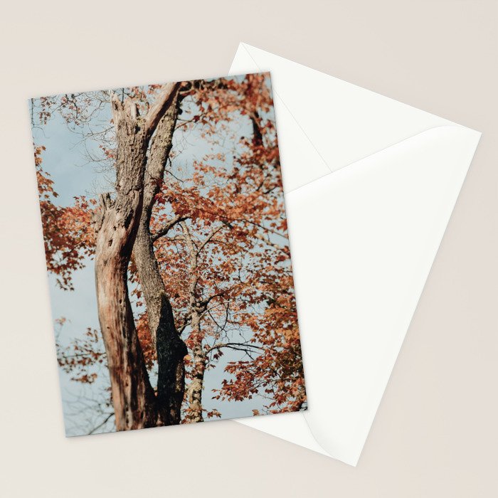 Russet - autumn tree photograph fall colors travel cottagecore Stationery Card Gallery Image 2