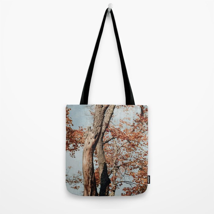 Russet - autumn tree photograph fall colors travel cottagecore Tote Bag Gallery Image 2