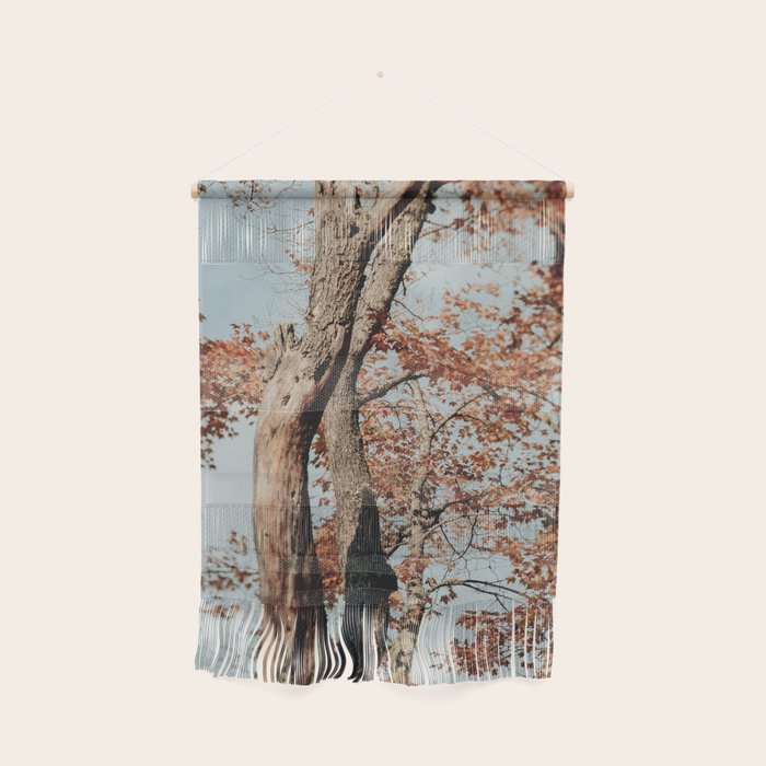 Russet - autumn tree photograph fall colors travel cottagecore Wall Hanging Gallery Image 1