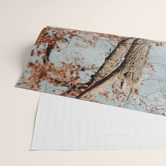 Russet - autumn tree photograph fall colors travel cottagecore Wrapping Paper Gallery Image 2