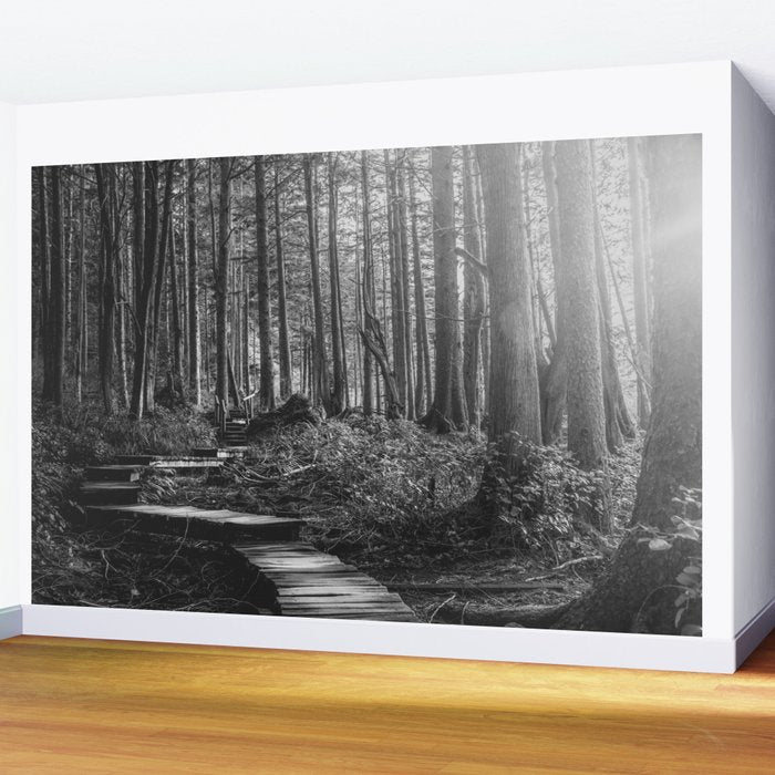 Adventure Nature Path Black and White Wall Mural Gallery Image 2