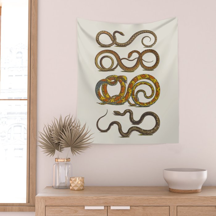 Albertus Seba Snakes Illustration  Wall Tapestry Gallery Image 2