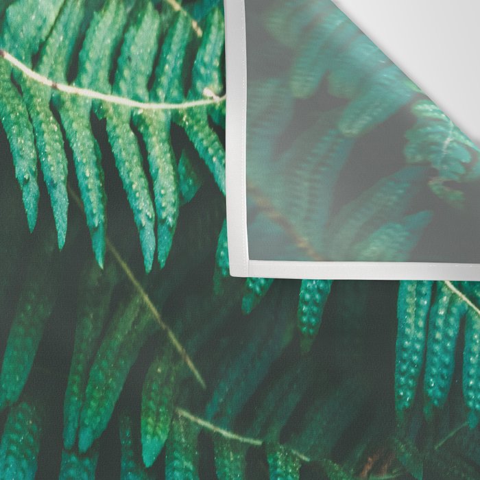 Ferns  Wall Tapestry Gallery Image 3
