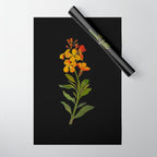 Cheiranthus Cheiri  by Mary Delany Paper Collage Floral Flower Botanical Paper Mosaic Vintage Scientific Plant Anatomy Wrapping Paper Gallery Image 1