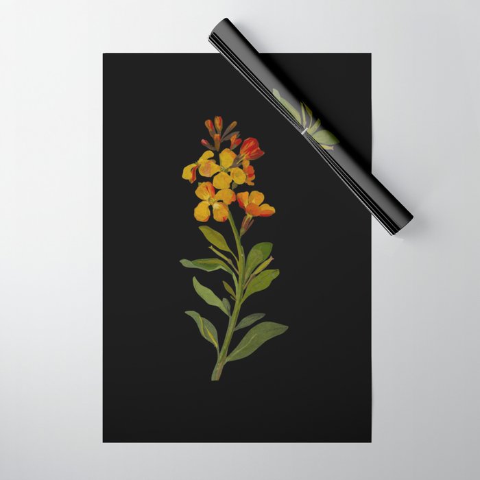 Cheiranthus Cheiri  by Mary Delany Paper Collage Floral Flower Botanical Paper Mosaic Vintage Scientific Plant Anatomy Wrapping Paper Gallery Image 1
