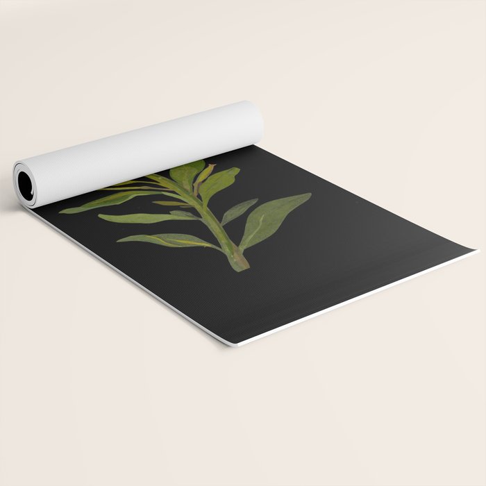 Cheiranthus Cheiri  by Mary Delany Paper Collage Floral Flower Botanical Paper Mosaic Vintage Scientific Plant Anatomy Yoga Mat Gallery Image 2