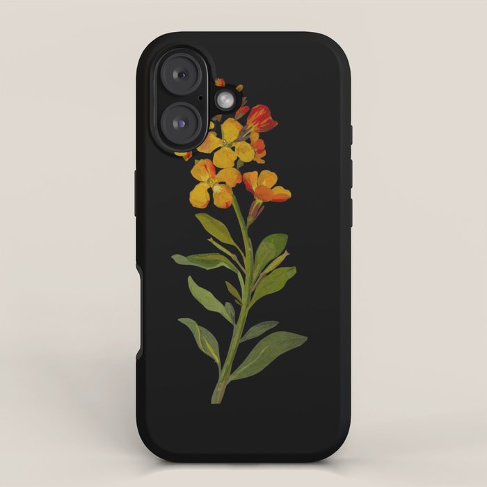 Cheiranthus Cheiri  by Mary Delany Paper Collage Floral Flower Botanical Paper Mosaic Vintage Scientific Plant Anatomy iPhone Case Gallery Image 1