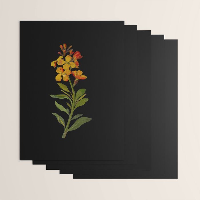 Cheiranthus Cheiri  by Mary Delany Paper Collage Floral Flower Botanical Paper Mosaic Vintage Scientific Plant Anatomy Wrapping Paper Gallery Image 3