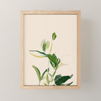 Plants In Summer Beige. Mini Art Print Gallery Image 1