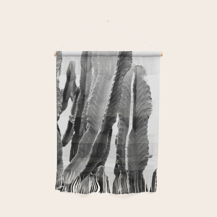 Boho Cactus Wall Hanging Gallery Image 1