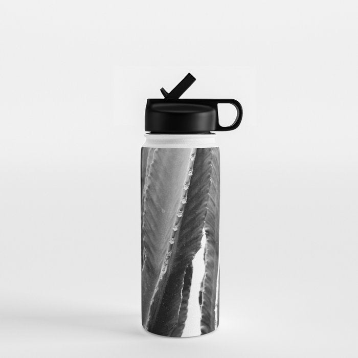 Boho Cactus Water Bottle Gallery Image 1