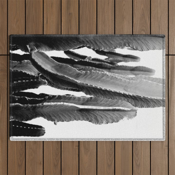 Boho Cactus Outdoor Rug Gallery Image 1