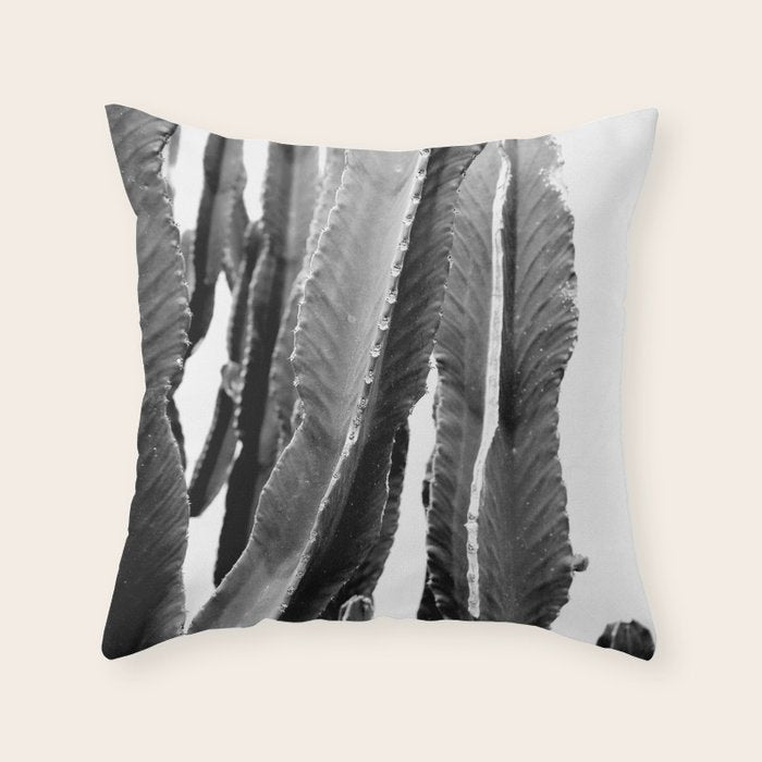 Boho Cactus Throw Pillow Gallery Image 1