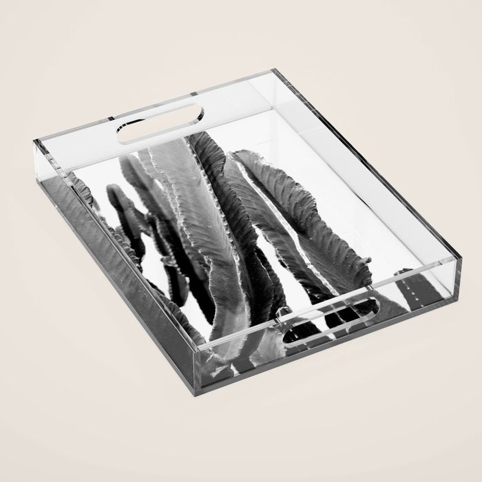 Boho Cactus Acrylic Tray Gallery Image 1