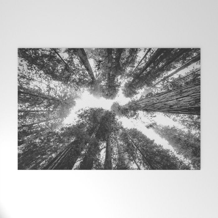 Into the Mist - Black and White Nature Photography Welcome Mat Gallery Image 1