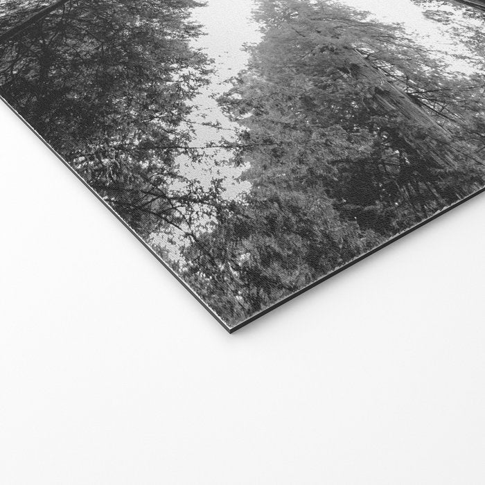 Into the Mist - Black and White Nature Photography Welcome Mat Gallery Image 2