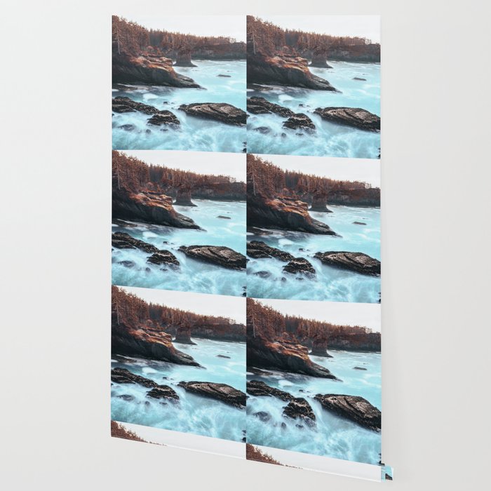 Washington West Coast - Ocean Forest Adventure Wallpaper Gallery Image 2