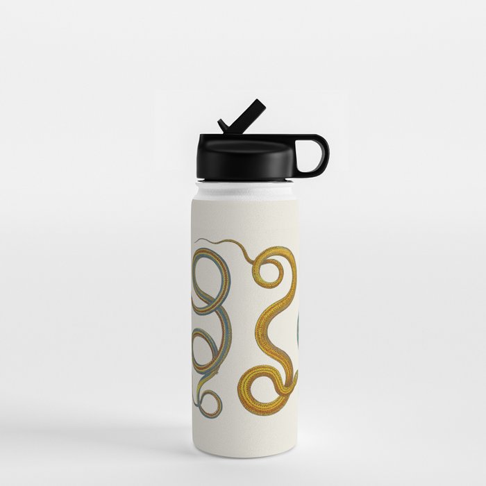 Albertus Seba Snakes Illustration Teal And Yellow Scales Water Bottle Gallery Image 1
