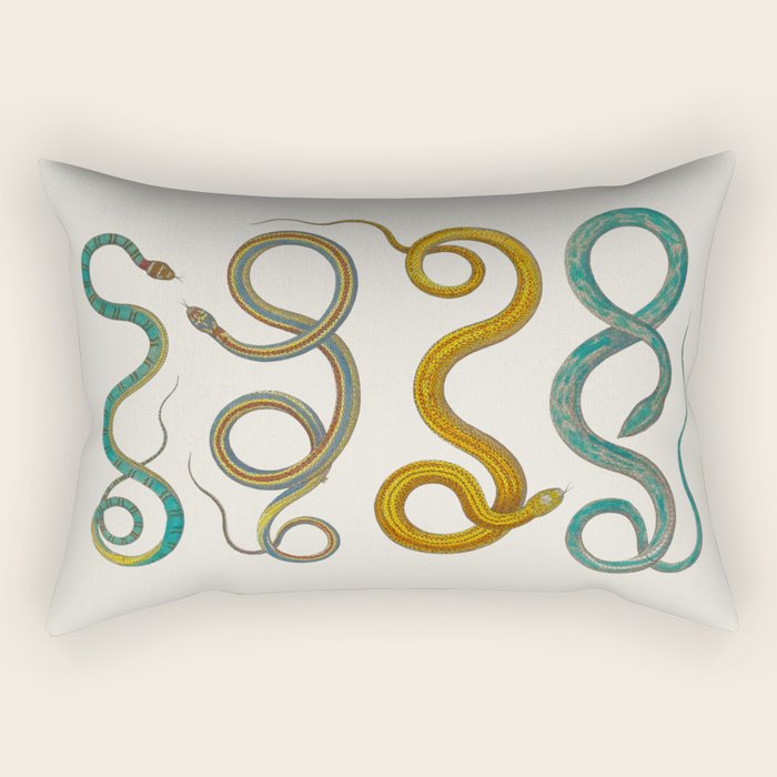 Albertus Seba Snakes Illustration Teal And Yellow Scales Rectangular Pillow Gallery Image 1