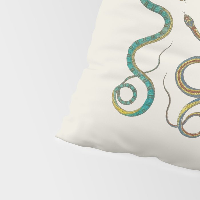 Albertus Seba Snakes Illustration Teal And Yellow Scales Pillow Sham Gallery Image 4