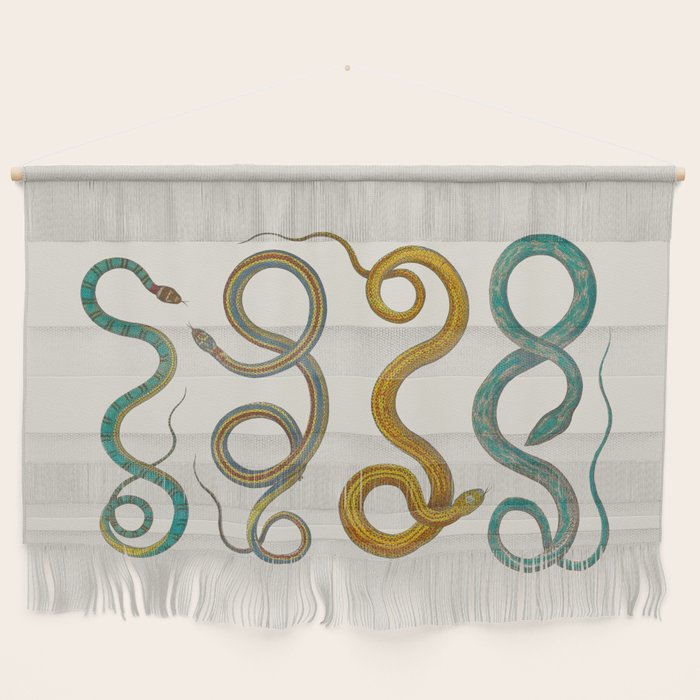 Albertus Seba Snakes Illustration Teal And Yellow Scales Wall Hanging Gallery Image 1