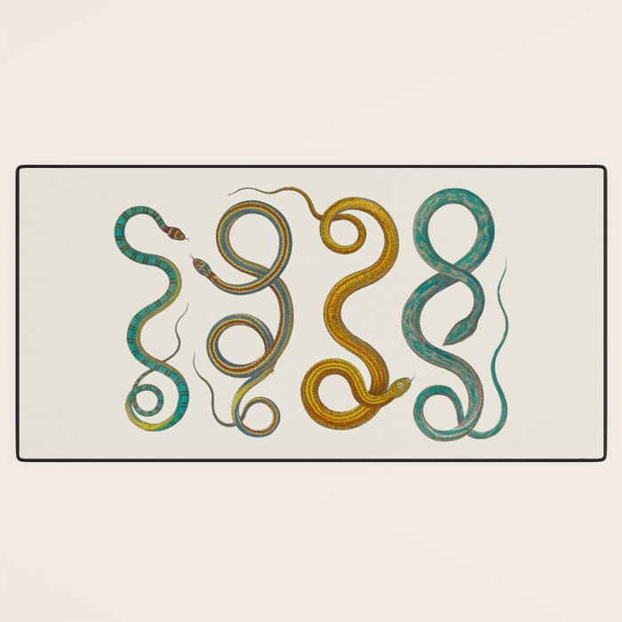 Albertus Seba Snakes Illustration Teal And Yellow Scales Desk Mat Gallery Image 3