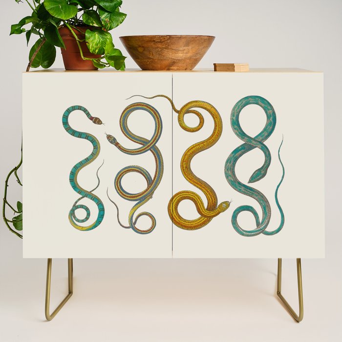 Albertus Seba Snakes Illustration Teal And Yellow Scales Credenza Gallery Image 1