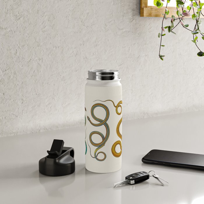 Albertus Seba Snakes Illustration Teal And Yellow Scales Water Bottle Gallery Image 4