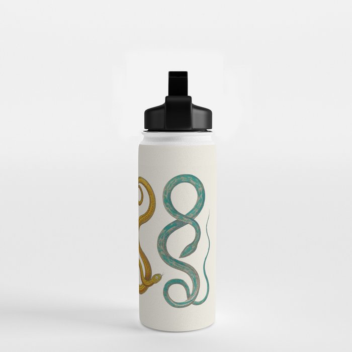 Albertus Seba Snakes Illustration Teal And Yellow Scales Water Bottle Gallery Image 2
