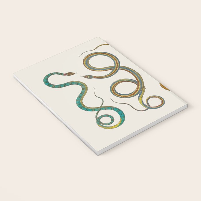 Albertus Seba Snakes Illustration Teal And Yellow Scales Notebook Gallery Image 3
