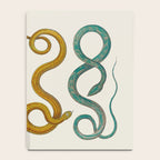Albertus Seba Snakes Illustration Teal And Yellow Scales Notebook Gallery Image 4