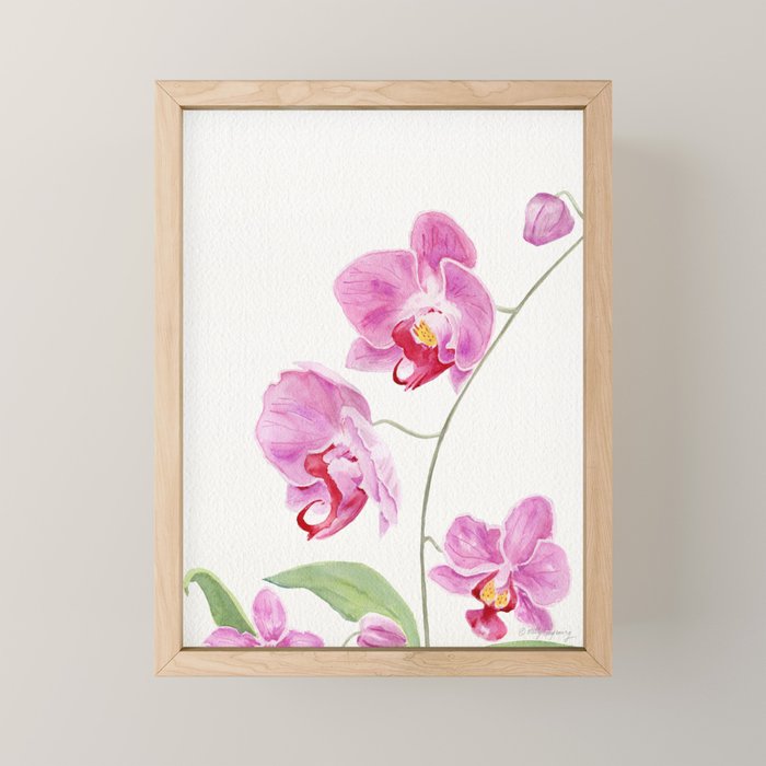 Orchid Mini Art Print Gallery Image 1