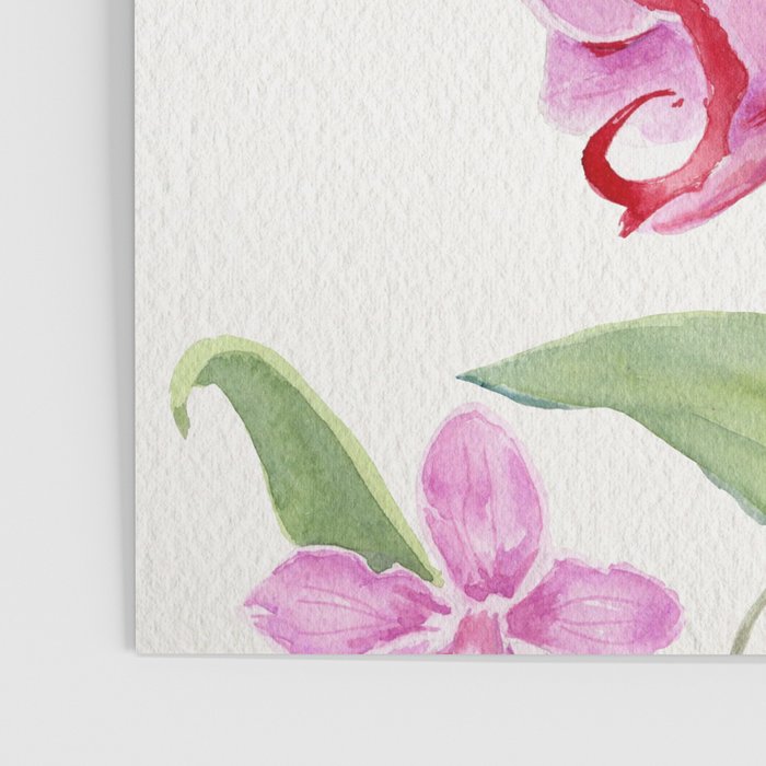 Orchid Poster Gallery Image 3