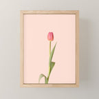 The pink tulip | Floral photography | Flower botanical photograph Mini Art Print Gallery Image 1